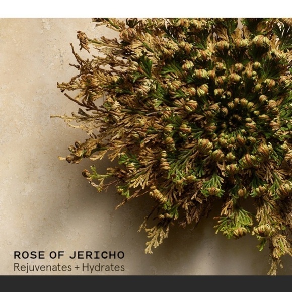 KEYS Soulcare Reviving Aura Mist-Rose of Jericho & Witch Hazel NEW FULL Size - Picture 2 of 4
